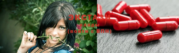 твердый Новодвинск