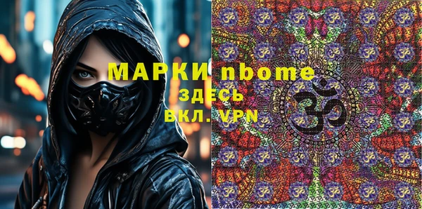 твердый Новодвинск