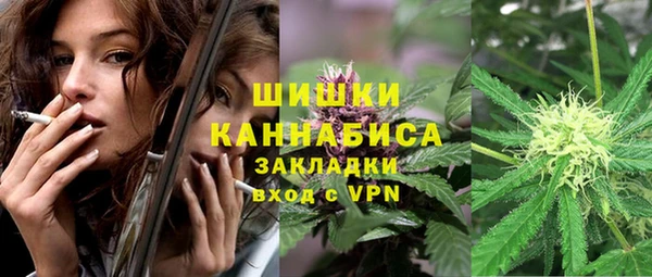 твердый Новодвинск