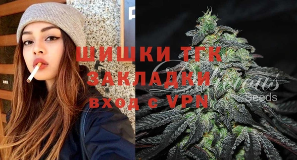 твердый Новодвинск