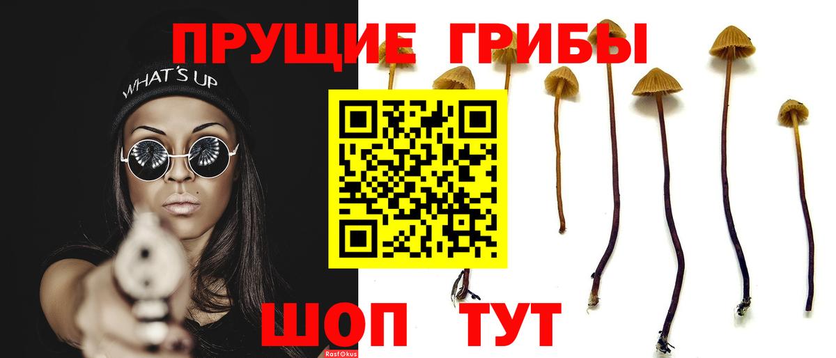 Псилоцибиновые грибы Magic Shrooms Советский
